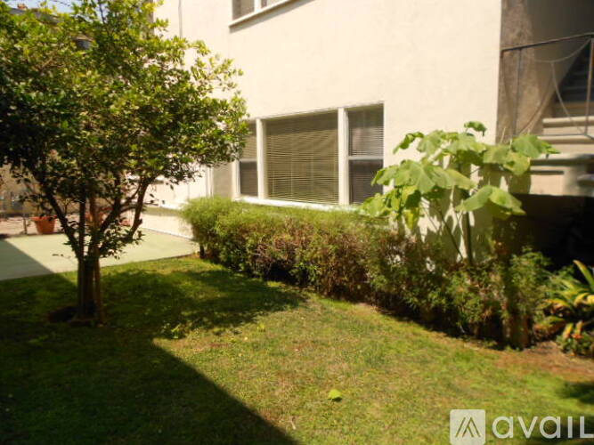 A tree is in the front yard of a house.