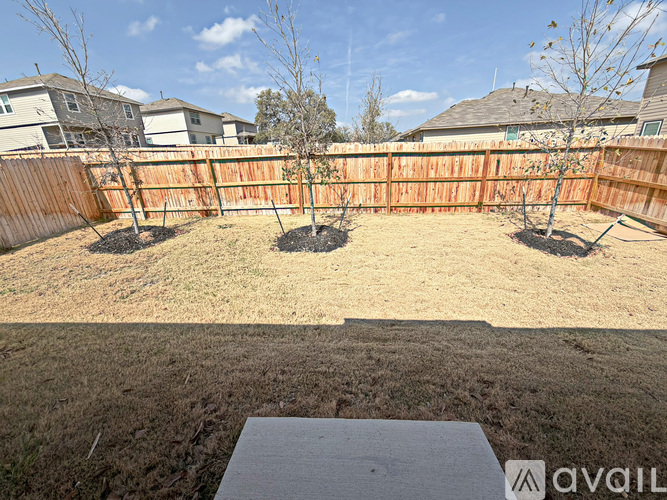 A backyard with a wooden fence and two small trees.