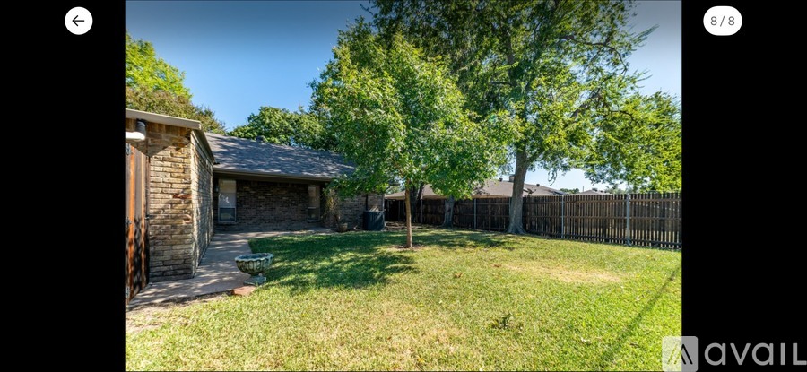 A backyard with a tree, a shed, and a fence.