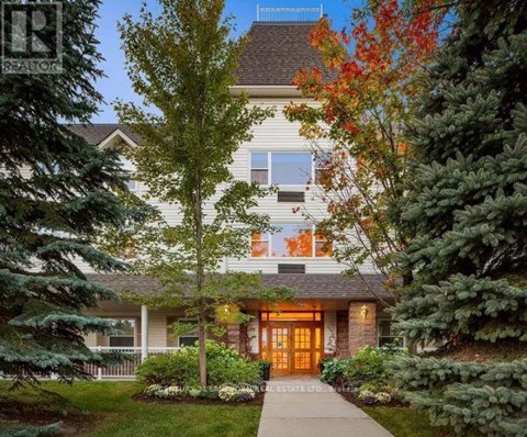 A house with a brown front door is surrounded by trees.