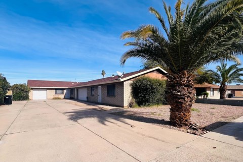A palm tree stands in front of a house with a driveway.
