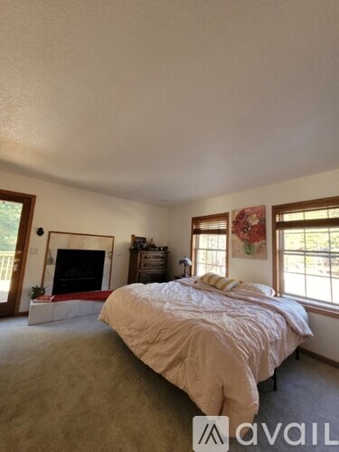 A bedroom with a large bed and a fireplace.