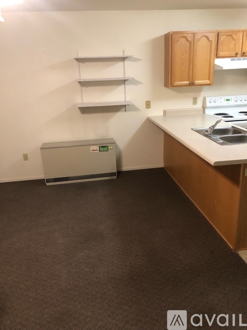 A kitchen with a stove, oven, and a wall-mounted cabinet.