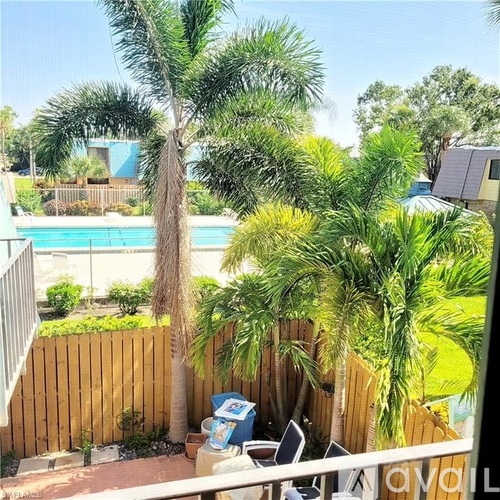 A palm tree in a backyard with a pool in the background.