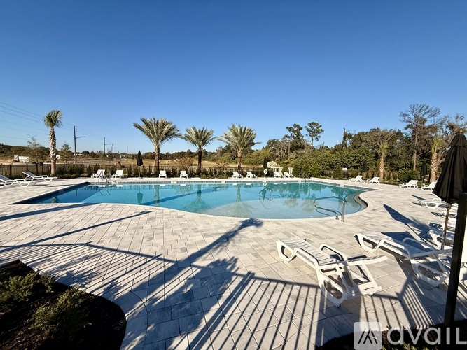 A pool surrounded by palm trees and lounge chairs.