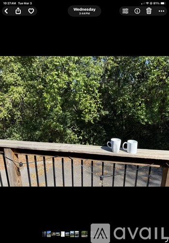 Two white cups on a wooden railing with green trees in the background.