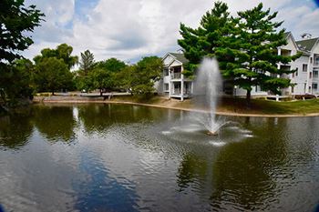 pond views