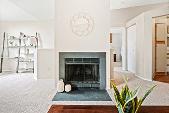 apartment with fireplace