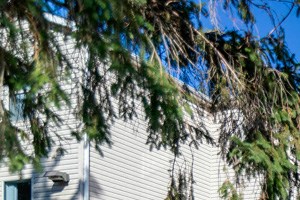 apartments for rent near msu rentcafé