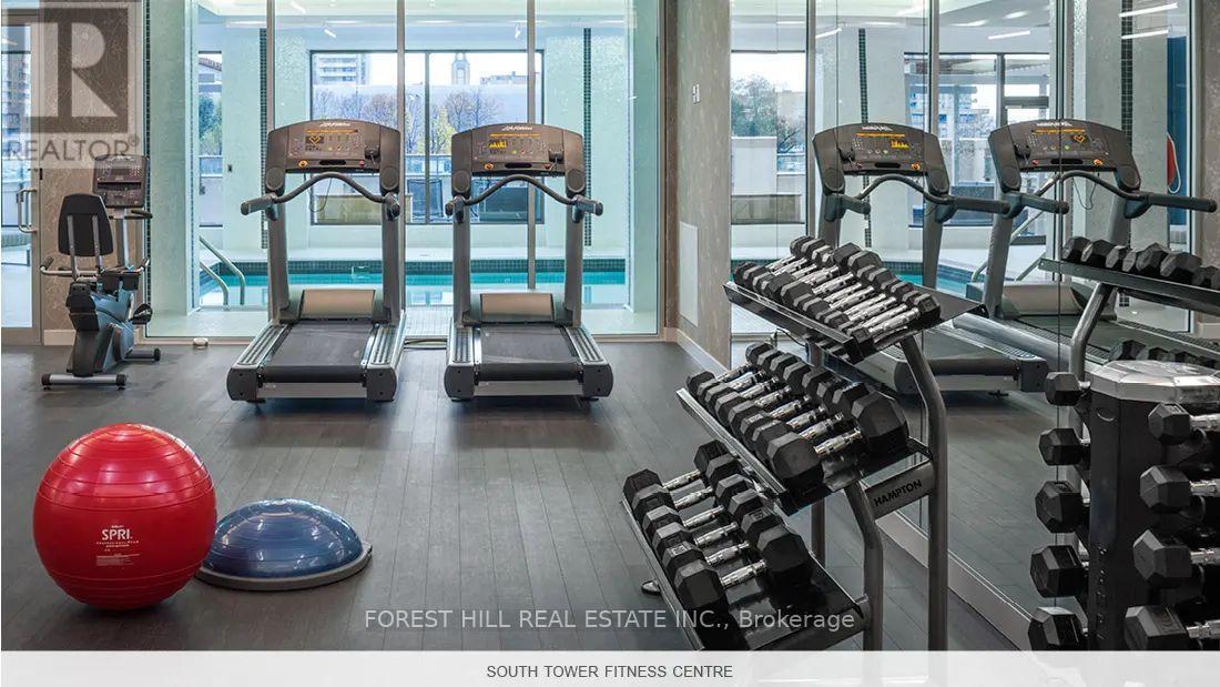 A gym with a red ball, a blue ball, and a rack of dumbbells.