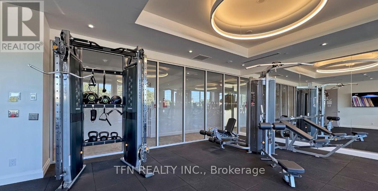 A gym with a squat rack, bench, and weights.