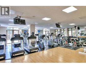 A gym with treadmills, elliptical machines, and other exercise equipment.