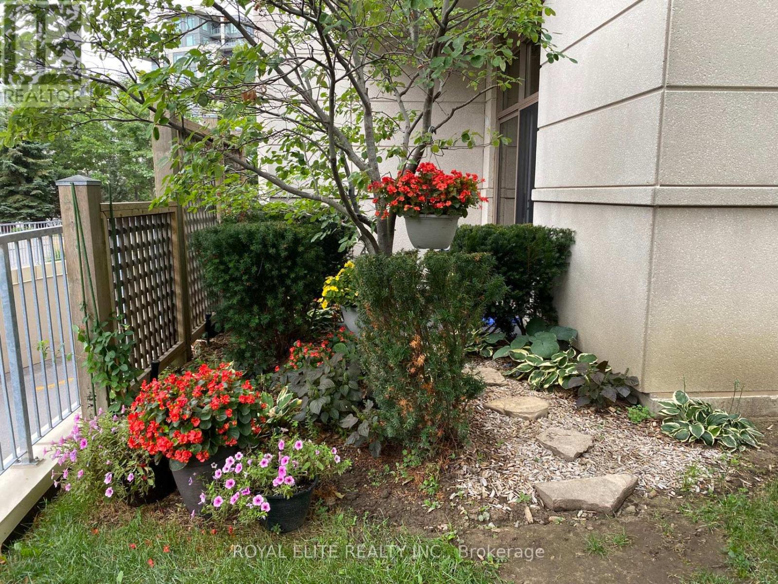 A garden with a variety of plants and flowers.