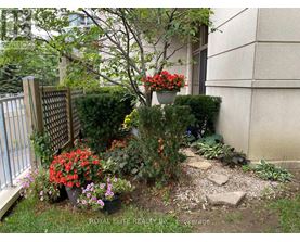 A garden with a variety of plants and flowers.