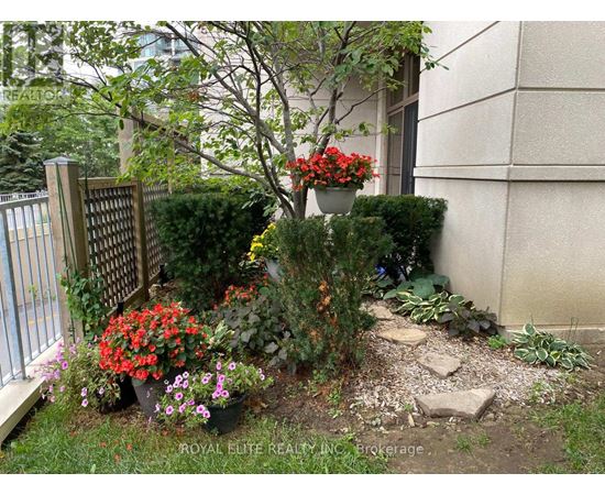 A garden with a variety of plants and flowers.