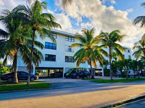 A white building with a green sign that says "BYTE" is surrounded by palm trees.