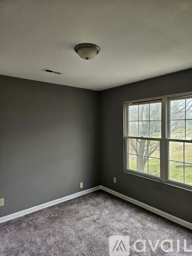 A room with grey carpet and a window showing trees outside.