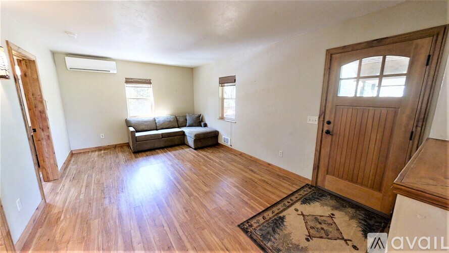 A living room with a couch and a rug in the foreground.