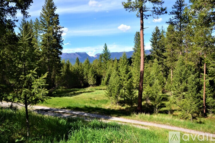 A path through a grassy area with trees on either side.