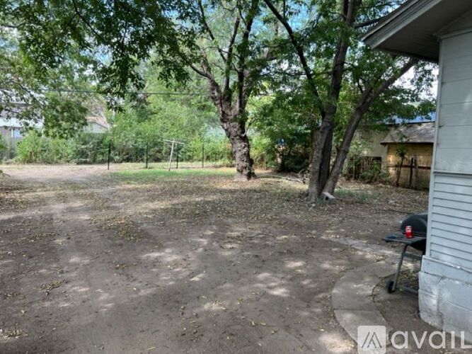 A backyard with a dirt ground and a tree.