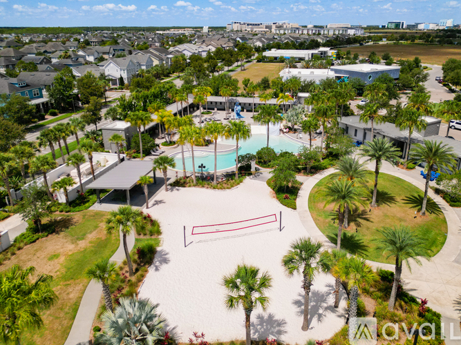 A large outdoor swimming pool surrounded by palm trees and a red volleyball net.