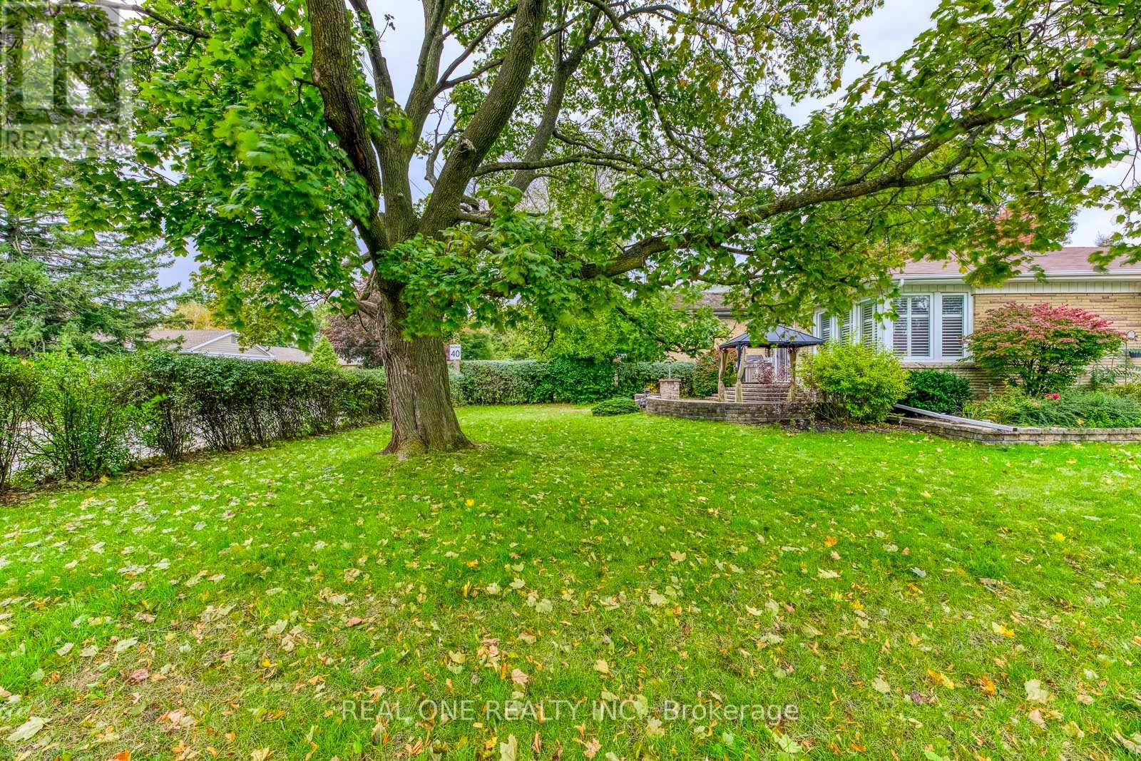 A tree in a grassy area with a house in the background.