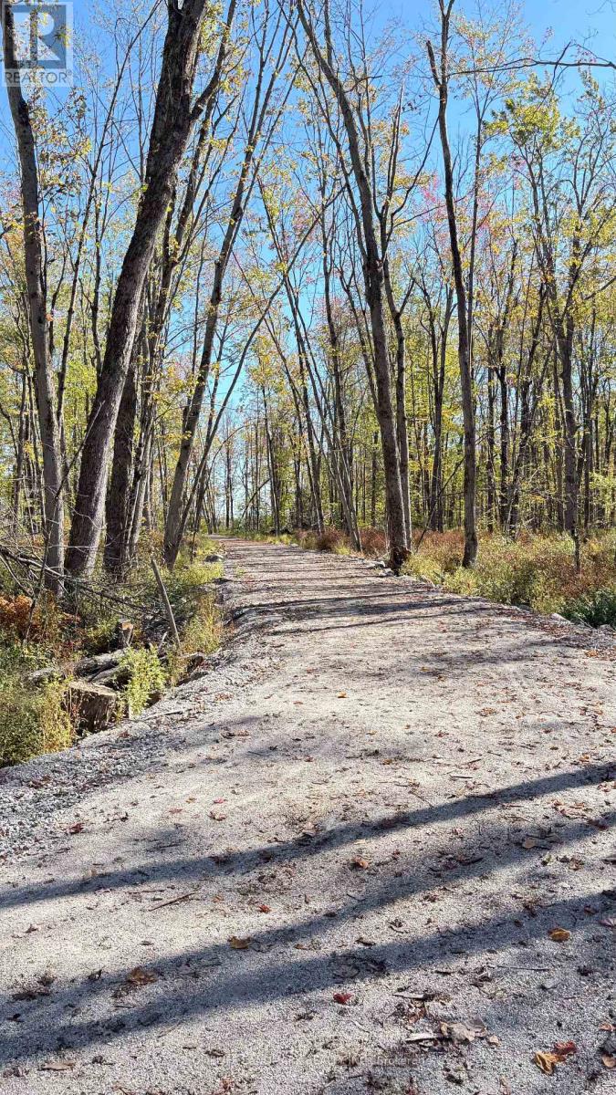 A dirt path in a wooded area with trees on either side.