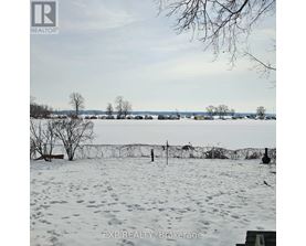 A snowy landscape with a body of water and leafless trees.