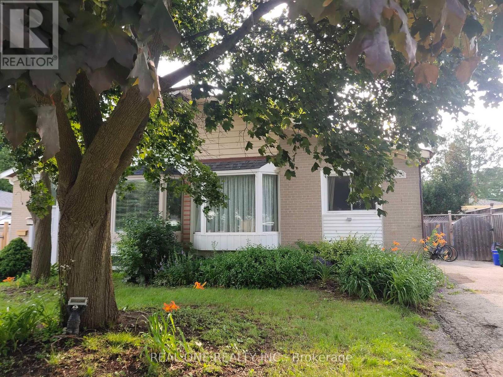 A tree in front of a house with a REALTOR sign.