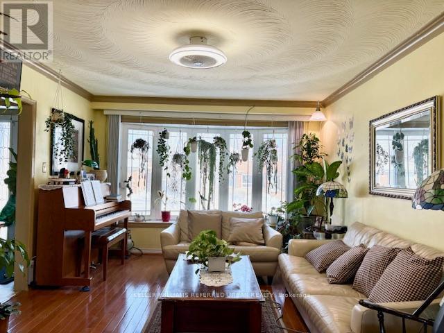A living room with a piano, couches, and potted plants.
