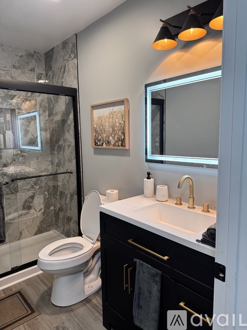 A bathroom with a toilet, sink, mirror, and a framed picture on the wall.