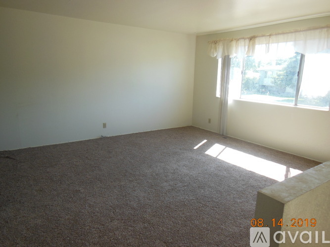 A room with a carpeted floor and a window with curtains.