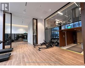 A gym with treadmills, exercise bikes, and mirrors.