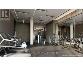 A gym with treadmills, weights and exercise equipment.