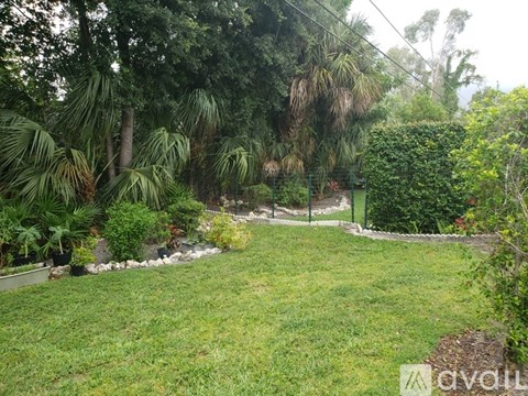 A lush green garden with a variety of plants and trees.