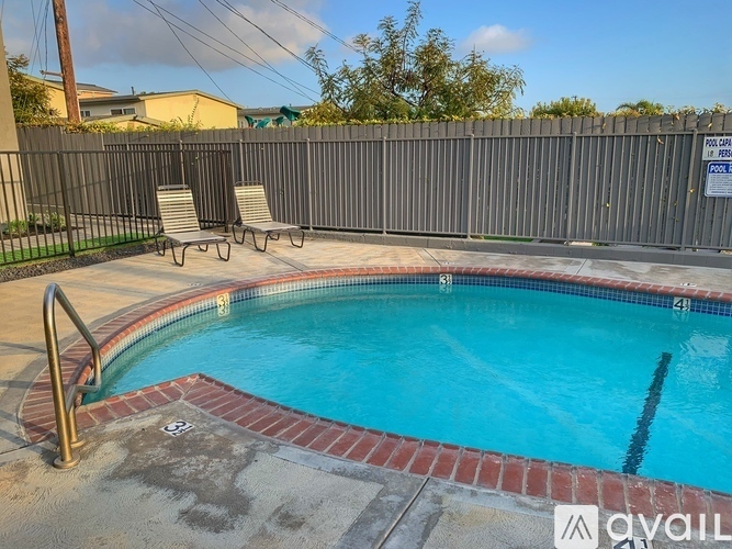 A small pool with a red brick border and a metal ladder.