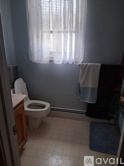 A bathroom with a toilet, a window with curtains, and a towel hanging on the wall.