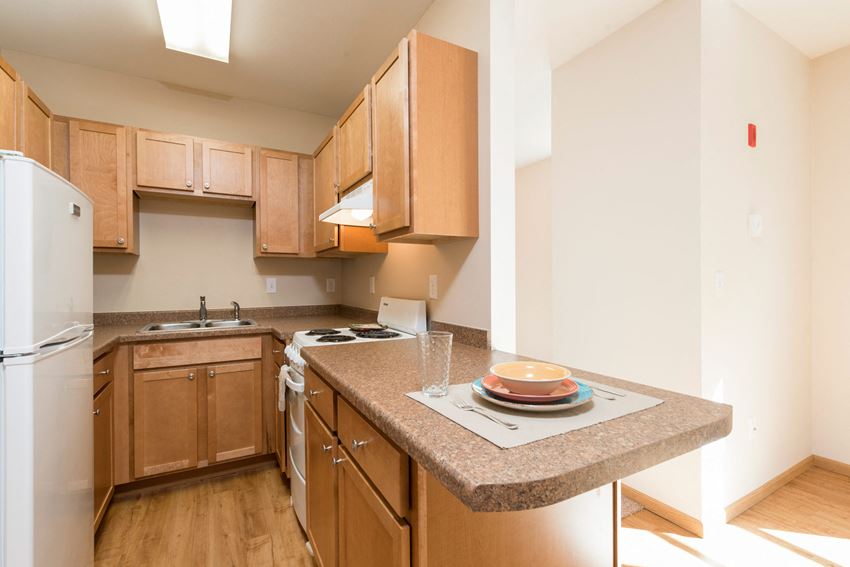 Norma Apartments | 1 Bdrm - Kitchen - Photo Gallery 1