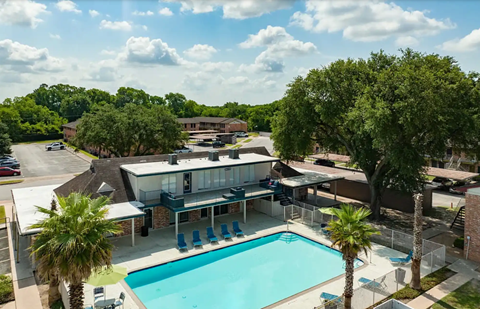 A swimming pool is surrounded by a fence and palm trees.