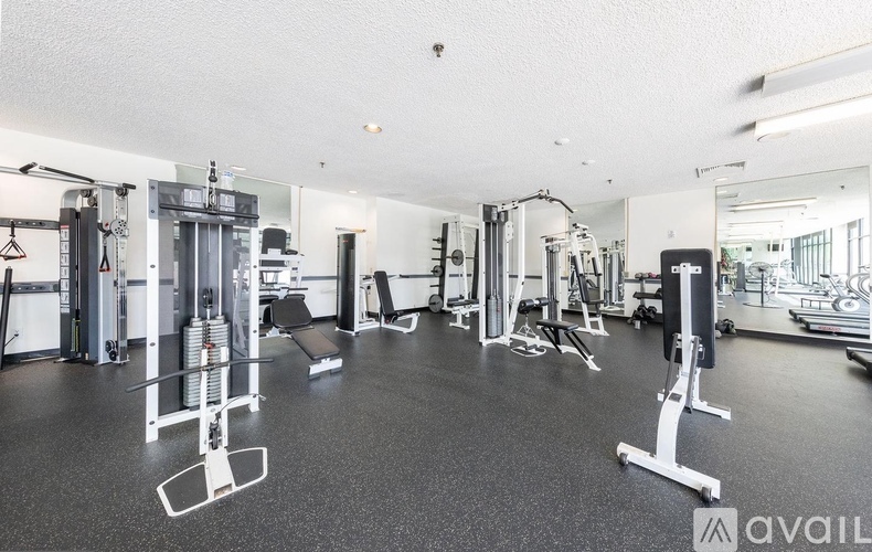 A gym with a variety of equipment including a squat rack, bench press, and a rowing machine.
