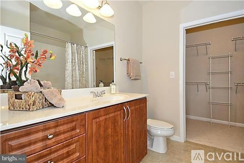 A bathroom with a toilet, sink, and shower.