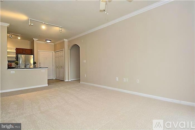 A spacious room with beige carpeting and a white door.