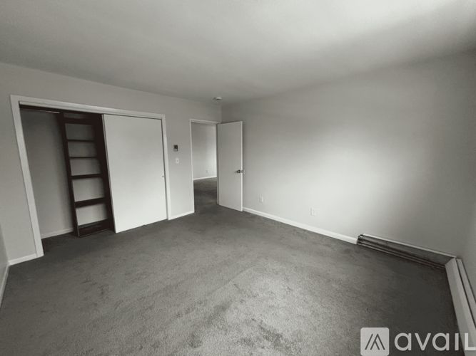 A room with a carpeted floor and a ladder in the corner.