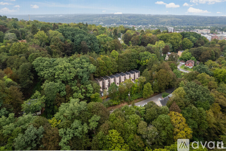 A bird's eye view of a lush green forest with a building in the middle.