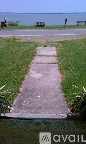 A concrete walkway leads to a bench by the water.