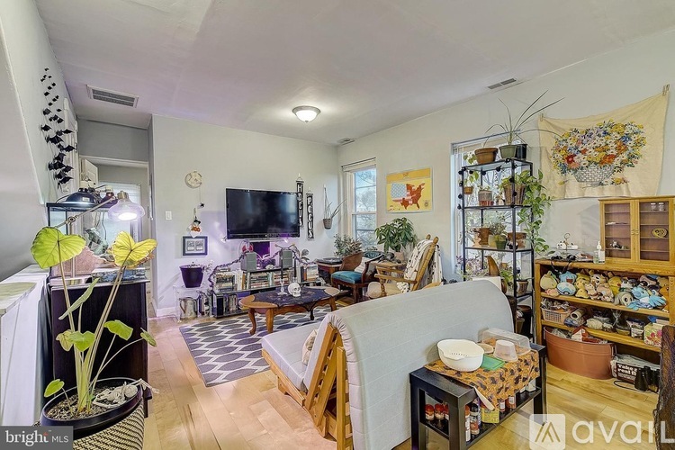 A living room with a couch, a television, and a potted plant.