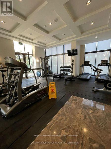 A gym with a variety of equipment including treadmills, weights, and a bench press.