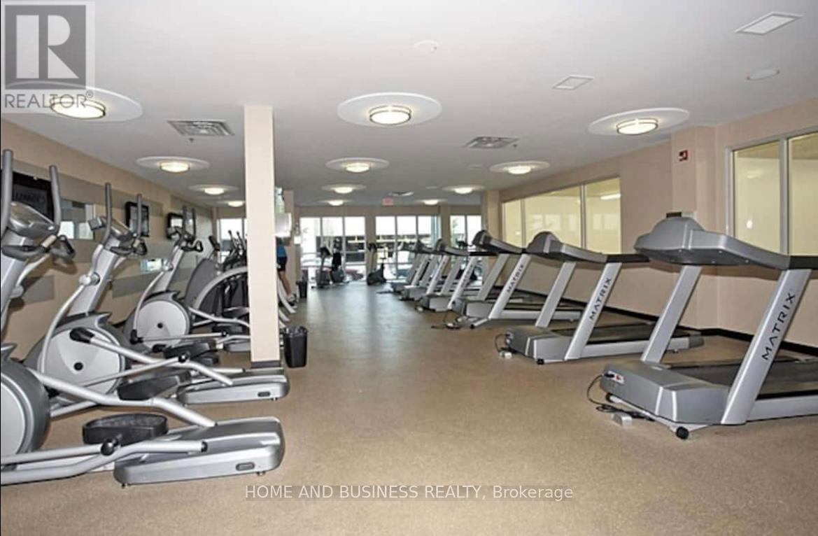 A gym with treadmills and elliptical machines.