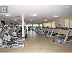 A gym with treadmills and elliptical machines.