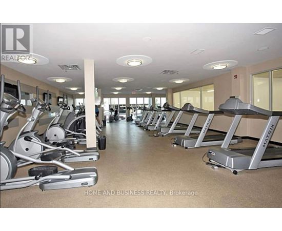 A gym with treadmills and elliptical machines.